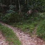 Hidden Roads