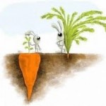 Don’t Believe Everything You See appearances
