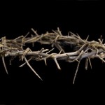Jesus Wore Just One Hat crown of thorns
