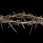 crown of thorns