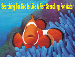 God search