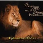 There's a Lion in you. Quit backing up from the spiritual battle. We win through obedience to the Lion!