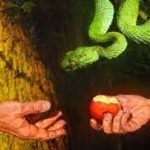 The serpent's still around and still an unwanted intruder in God's garden!
