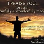 A Little More Bragging We carry in our bodies some of the most bodacious creativity... something only God could pull off